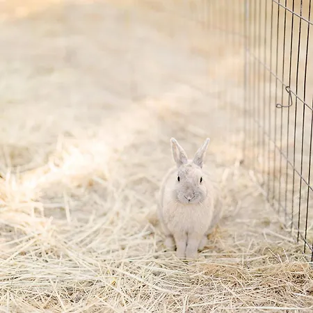 Un Eco-camping En Vendee Kemping