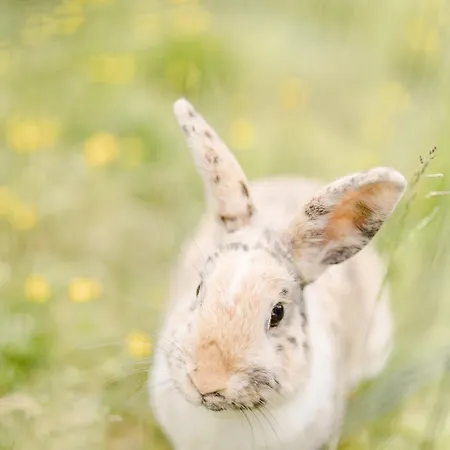 Un Eco-camping En Vendee Kemping 4*
