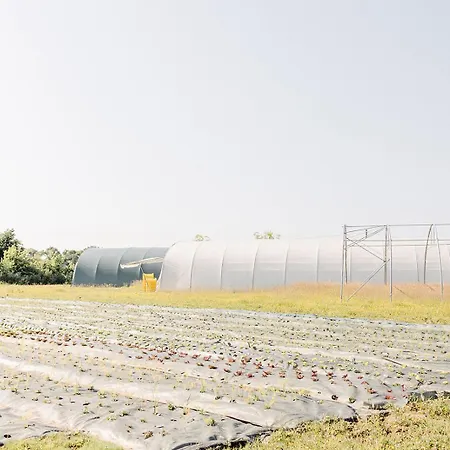 营地 Un Eco-camping En Vendee