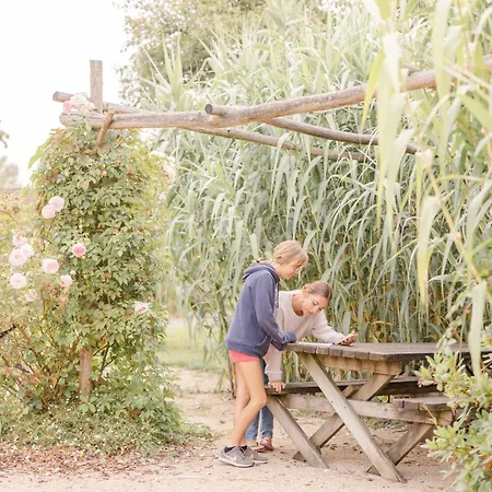 Un Eco-camping En Vendee 营地