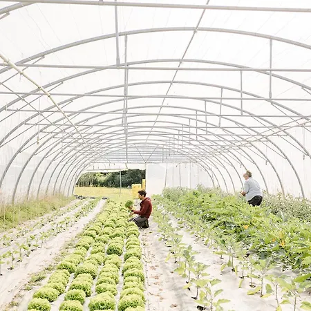 Un Eco-Domaine En Vendee Κάμπινγκ
