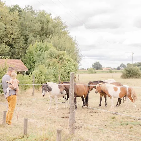 Kemping Un Eco-camping En Vendee
