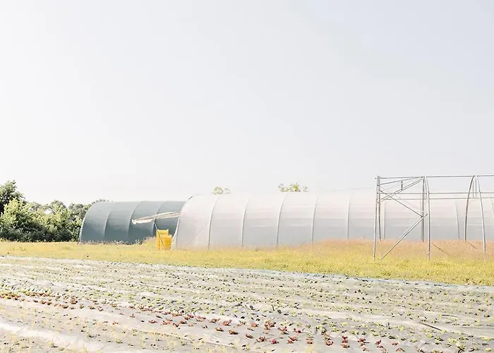 Camping Un éco-camping En Vendée