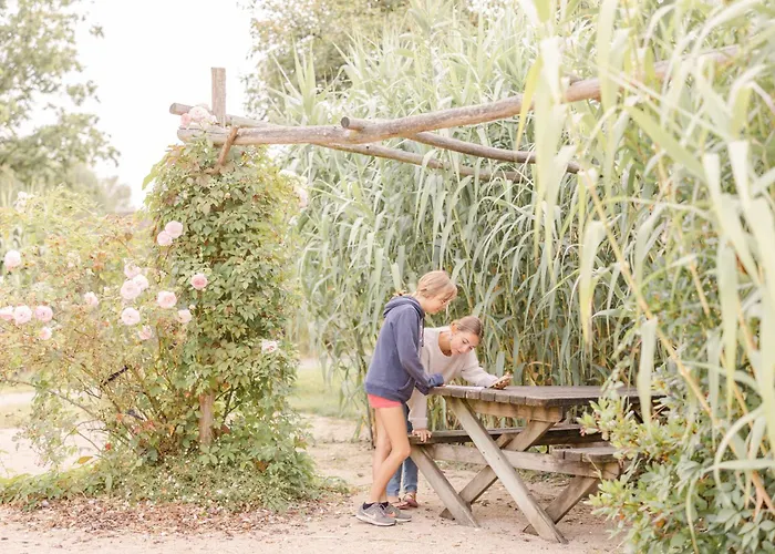 Un Eco-camping En Vendee אתר קמפינג