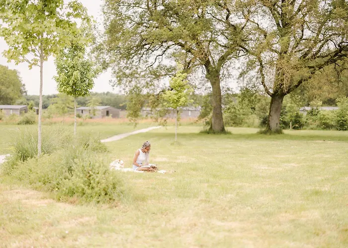 אתר קמפינג Un Eco-camping En Vendee