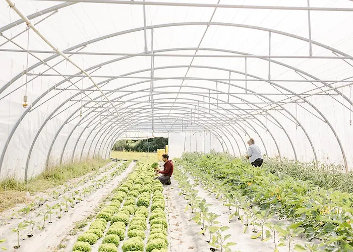 Un éco-camping En Vendée Camping