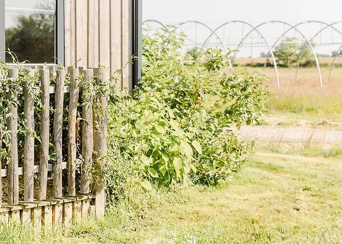 Un Eco-camping En Vendee Chauché