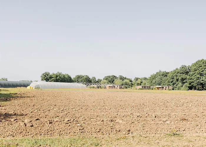 Un éco-camping En Vendée Camping