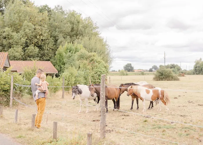 אתר קמפינג Un Eco-camping En Vendee